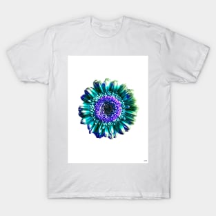 Blue Gerbera Flower T-Shirt